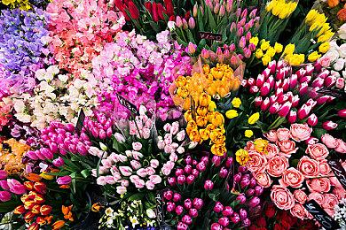 《艾尔登法环：黑夜君临》发售预告 团结一致奋战不息